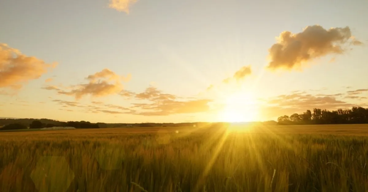 120 Powerful Quotes on Nature’s Beauty, Creativity, and Life’s Wisdom 3
