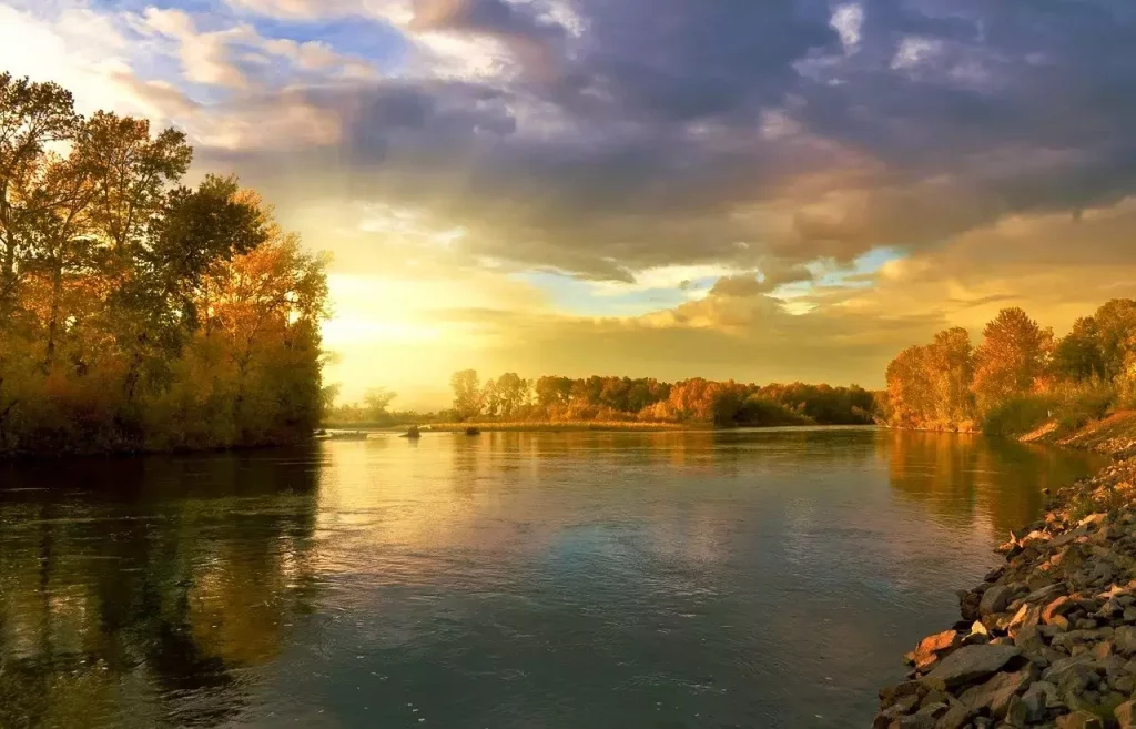 120 Powerful Quotes on Nature’s Beauty, Creativity, and Life’s Wisdom 4