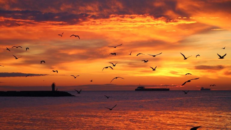 Good Morning 120 Uplifting Quotes and Messages to Brighten Your Day