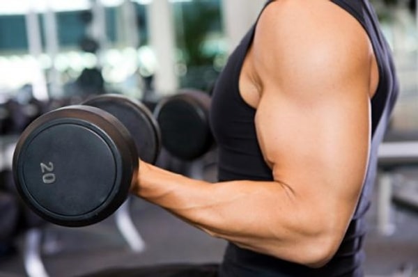 How to Build Muscle The Easiest and Fastest Way 3